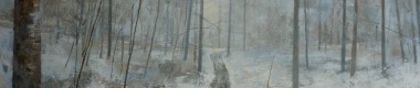 En forêt, en hiver - 2011
