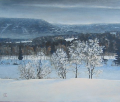 Brève lumière - 2009